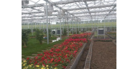 谷城特色農業信息咨詢服務 賦能鄉村振興，創造產業輝煌